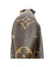 Louis Vuitton Brown Mini Pochette Accessoires One size - photo 6