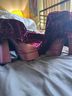 Hot Topic Burgundy Pink Boots Size 6 1/2 - photo 7