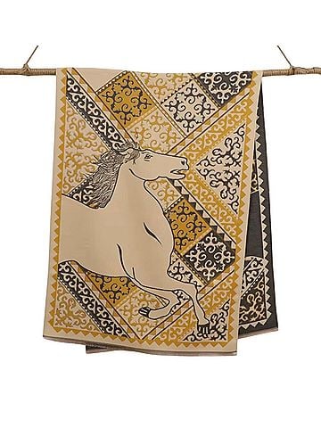 Accessories Scarf (view 2)