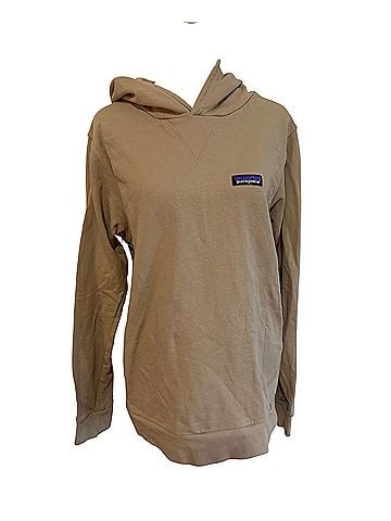 Patagonia Pullover Hoodie (view 1)