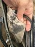 Brahmin 100% Leather Animal Print Green Leather Satchel One size - photo 10