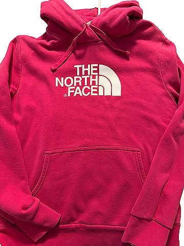 The North Face Pullover Hoodie (view 1)