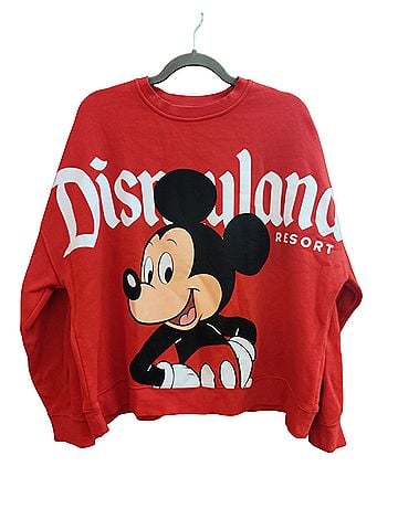 Disney Sweatshirt (view 1)
