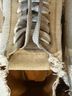Rag & Bone Tan Sneakers Size EU 39 1/2 - photo 10