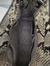 Michael Kors Snake Print Multi Color Leather Tote One size - photo 3
