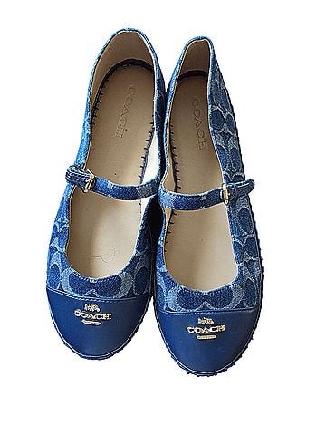 Coach Flats (view 1)