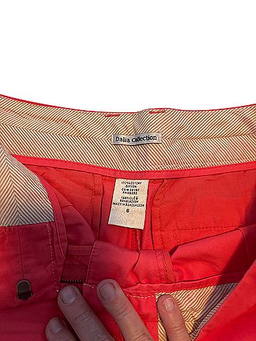 Dalia Collection Shorts (view 2)