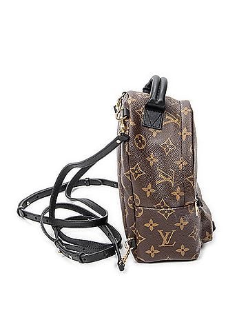 Louis Vuitton Palm Springs PM (view 2)