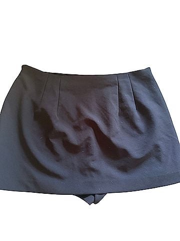Express Skort (view 2)