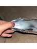 Cult Gaia Snake Print Silver Sandals Size 12 - photo 8