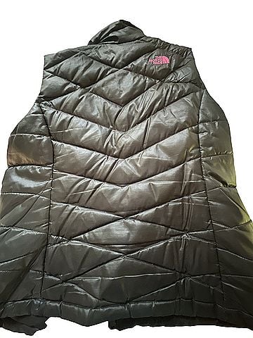 The North Face The North Face Vest (view 2)