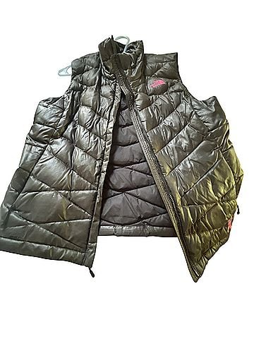 The North Face The North Face Vest (view 1)
