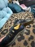Dr. Martens Black Flats Size EU 38 - photo 11