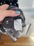 Leota Polka Dots Black Casual Dress Size M - photo 4