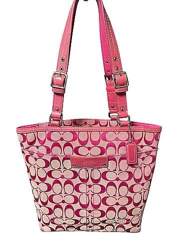 Coach Coach Hampton Leather Tote (view 1)
