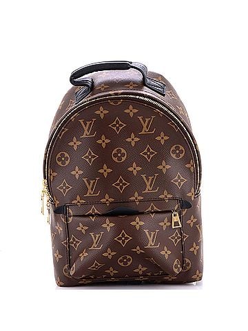 Louis Vuitton Palm Springs Backpack Monogram Canvas PM (view 1)