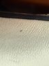 Proenza Schouler 100% Leather Ivory White Mule/Clog Size EU 38 1/2 - photo 13