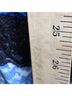 Fashion Bug Snake Print Blue Black Tank Top Size 4X - photo 7