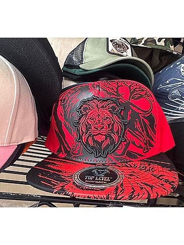 Top Level Baseball Cap (view 2)
