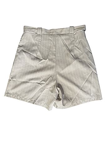 Cider Dressy Shorts (view 2)