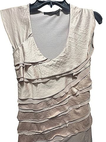 The Limited Sleeveless Blouse (view 2)