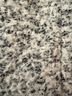 Ann Taylor Loft Coat - Ann Taylor LOFT Coat Size XS - photo 4