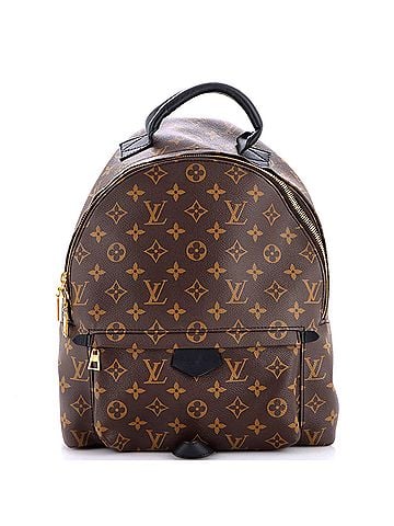 Louis Vuitton Palm Springs Backpack Monogram Canvas MM (view 1)