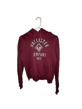 Hollister Pullover Hoodie (view 1)