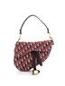 Christian Dior 100% Canvas Plain Red Saddle Handbag Oblique Canvas Medium One size - photo 1