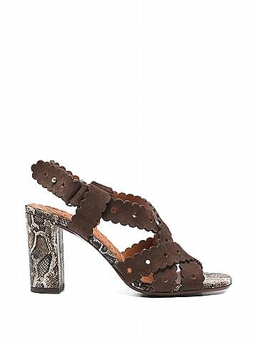 Chie Mihara Women's Mihara Biby Sandal in Brown/Snake (view 1)