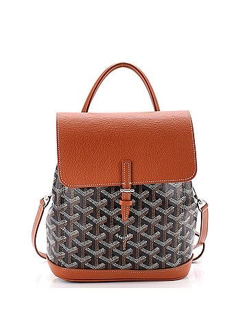 Goyard Alpin Backpack Coated Canvas Mini (view 1)