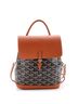 Goyard 100% Coatead Canvas Brown Alpin Backpack Coated Canvas Mini One size - photo 1