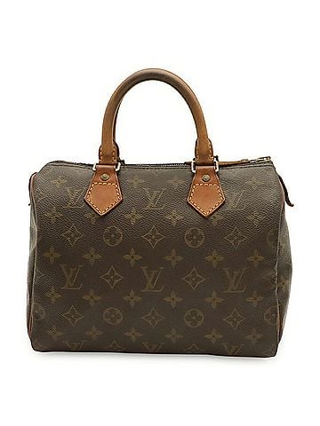 Louis Vuitton LOUIS VUITTON Louis Vuitton Monogram Speedy 25 Handbag M41528 (view 1)