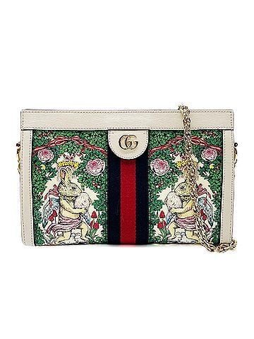 Gucci GUCCI Ophidia Higuchi Yuko Chain Shoulder Bag Rabbit 503877 Leather Green Women's (view 1)