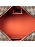 Louis Vuitton Brown Ribera MM One size - photo 8