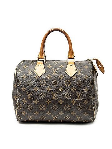 Louis Vuitton Speedy 25 (view 1)