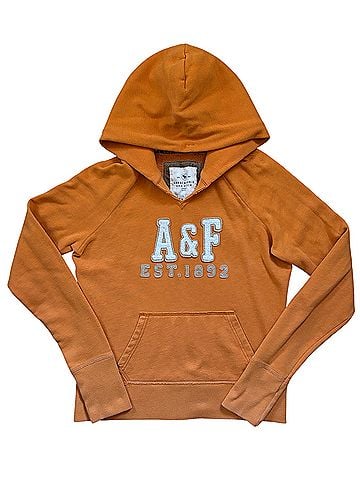 Abercrombie & Fitch Pullover Hoodie (view 1)
