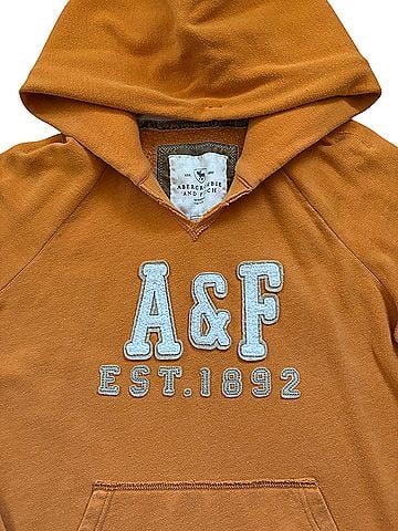 Abercrombie & Fitch Pullover Hoodie (view 2)