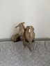Guess Gold Heels Size 7 1/2 - photo 4