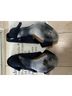 Pedro Garcia 100% Suede Solid Black Blue Heels Size EU 40 - photo 4