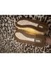 Coach Yellow Sneakers Size 7 - photo 4