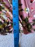 Tiny Sleeveless Blouse - Tiny Sleeveless Blouse Size L - photo 7
