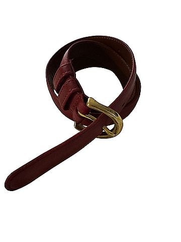Coach Belt (view 1)