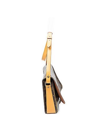 Louis Vuitton Cartouchiere GM (view 2)