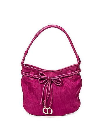 Dior Bow Trotter Hobo (view 1)