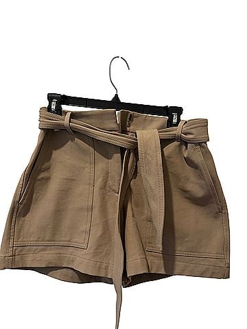 Ann Taylor Dressy Shorts (view 1)