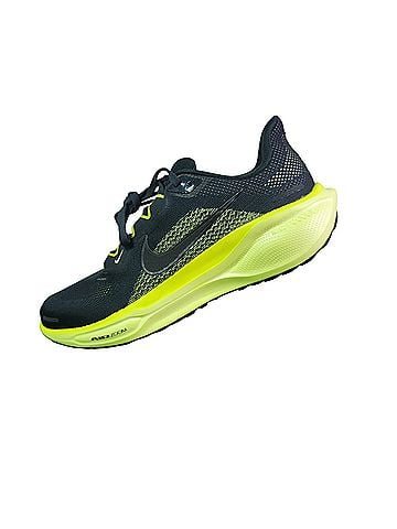 Nike Pegasus Sneakers (view 1)
