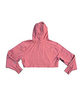Champion Pullover Hoodie (view 2)