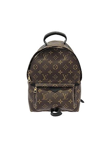 Louis Vuitton Louis Vuitton Monogram Palm Springs Backpack PM M41560 Rucksack (view 1)