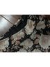 ASOS Floral Black Brown Ivory Formal Skirt Size 4 - photo 4